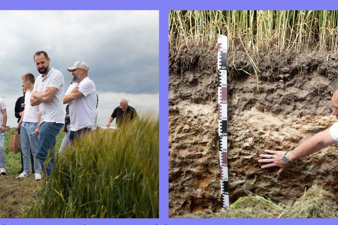 Panorama Pól z firmą Timac Agro Polska