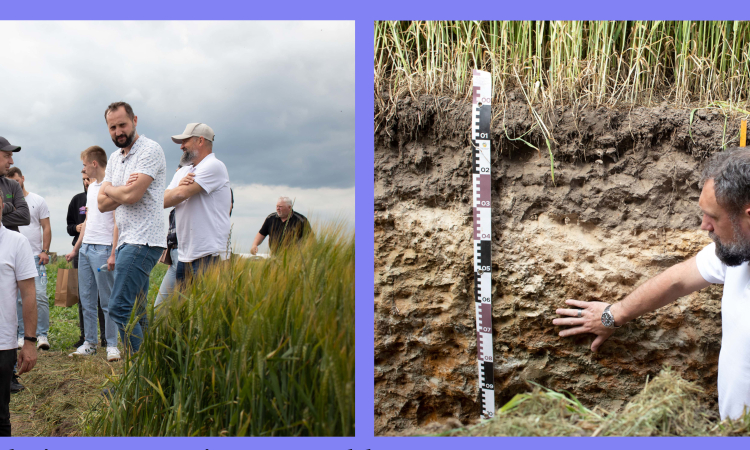 Panorama Pól z firmą Timac Agro Polska